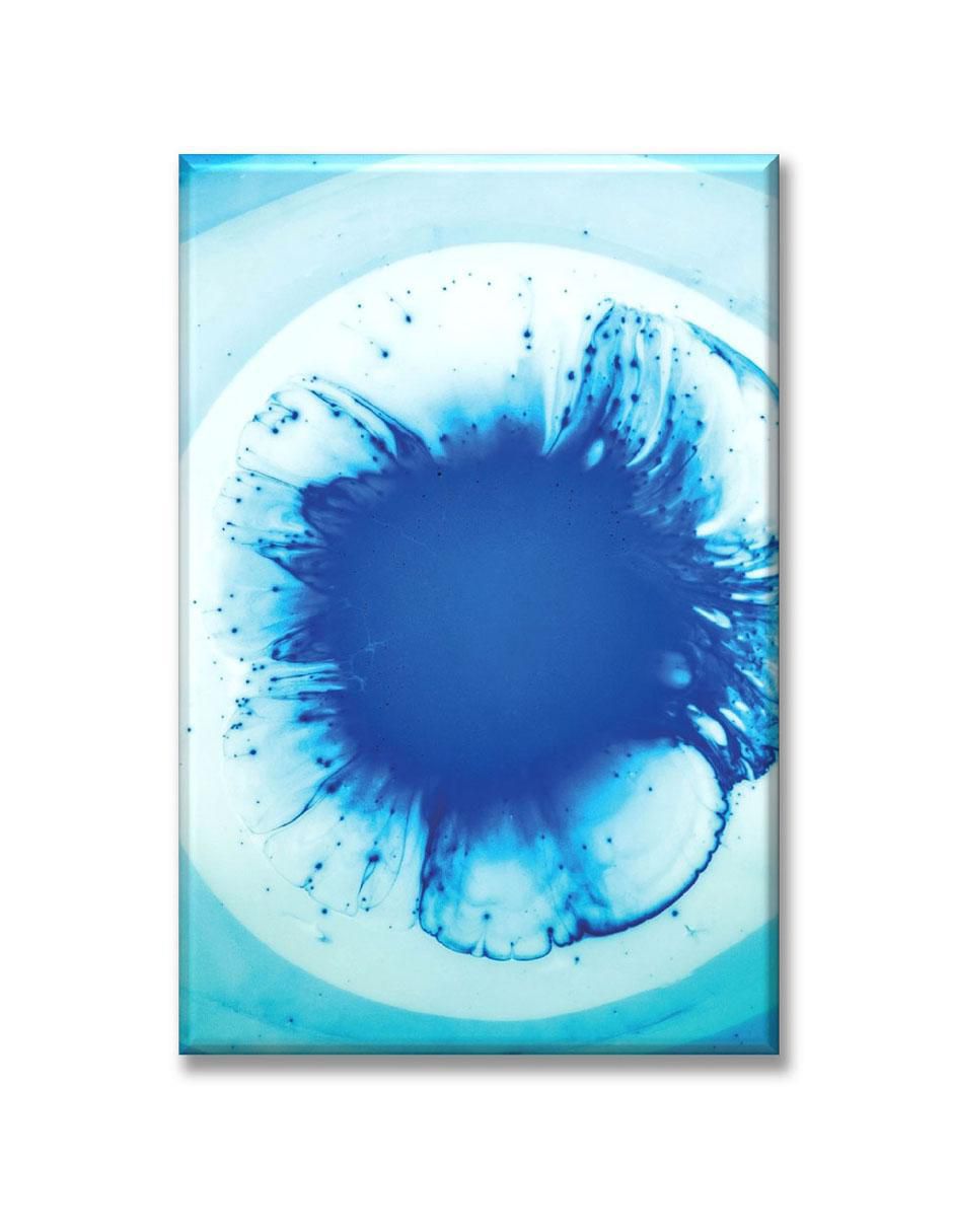 Cuadro decorativo Pintura en agua