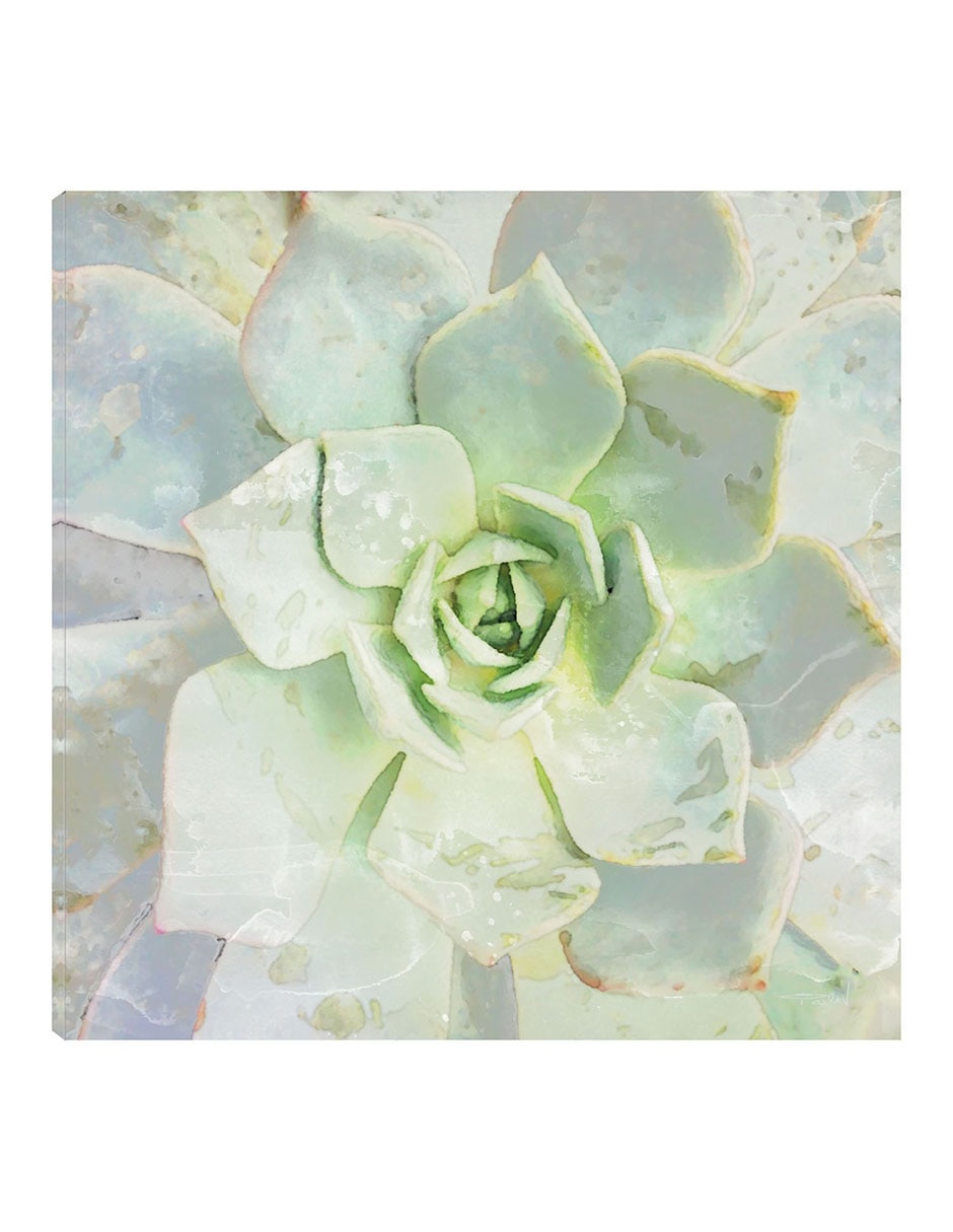 Cuadro decorativo Belleza De Las Suculentas técnica mixta Floración Cuadro decorativo Belleza De Las Suculentas técnica mixta Floración