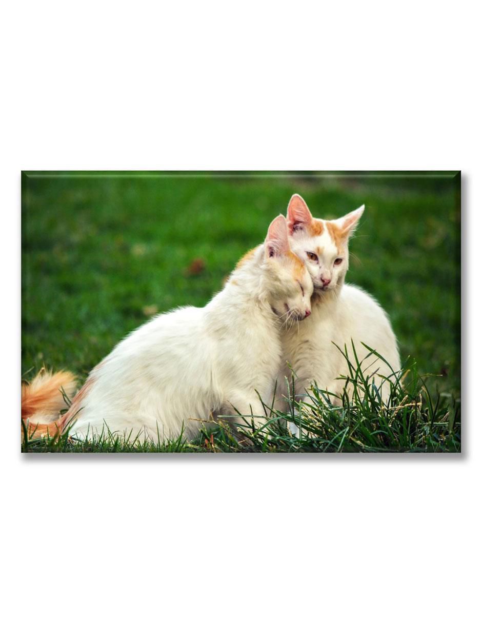 Cuadro decorativo Industria Grafica Ciento 23 Gatos enamorados
