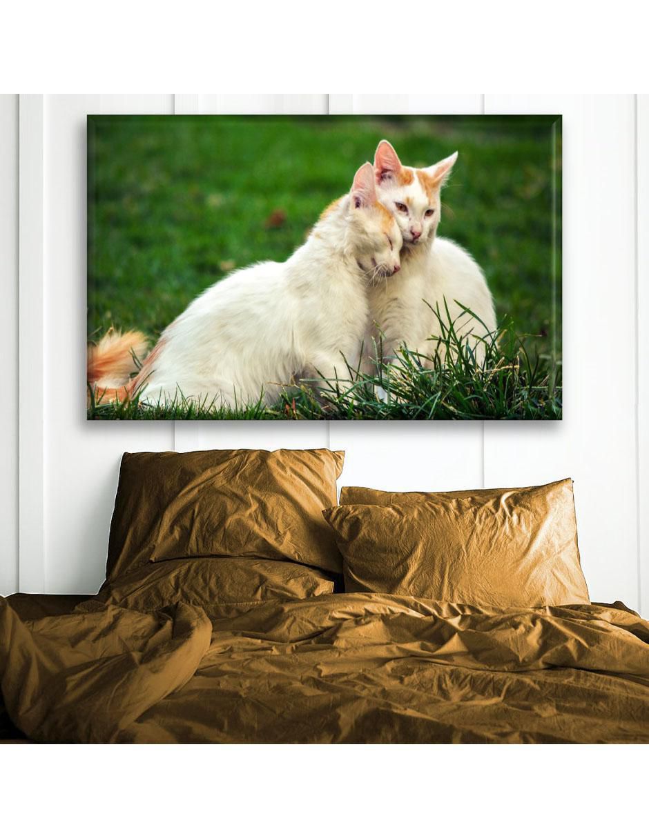 Cuadro decorativo Industria Grafica Ciento 23 Gatos enamorados