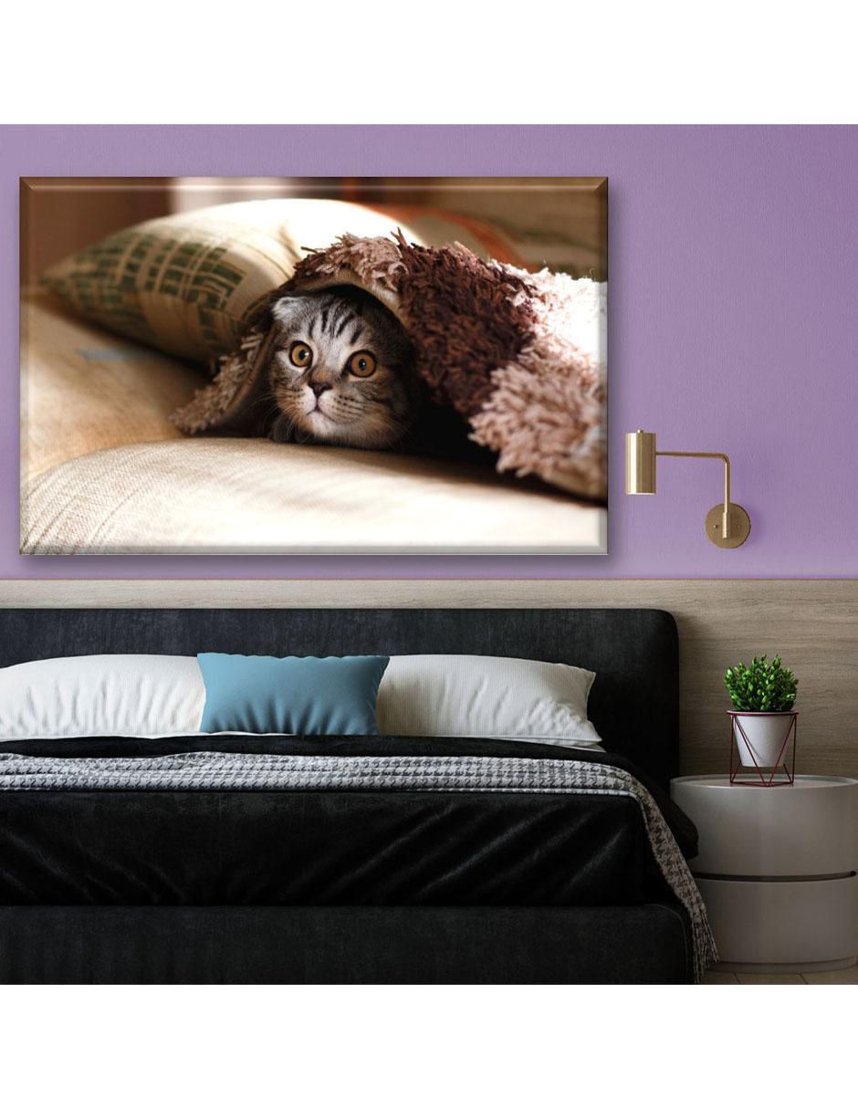 Cuadro decorativo Gatito con frío 6