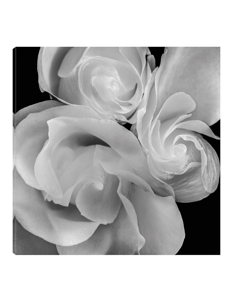 Cuadro decorativo Floral 19 técnica mixta Floración