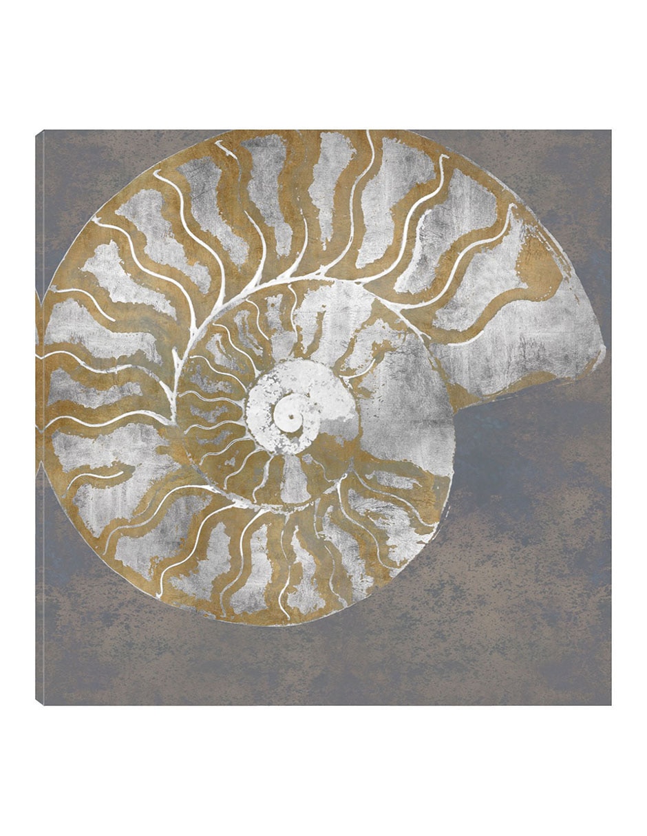 Cuadro decorativo Nautilo I técnica mixta Animales Marinos Cuadro decorativo Nautilo I técnica mixta Animales Marinos