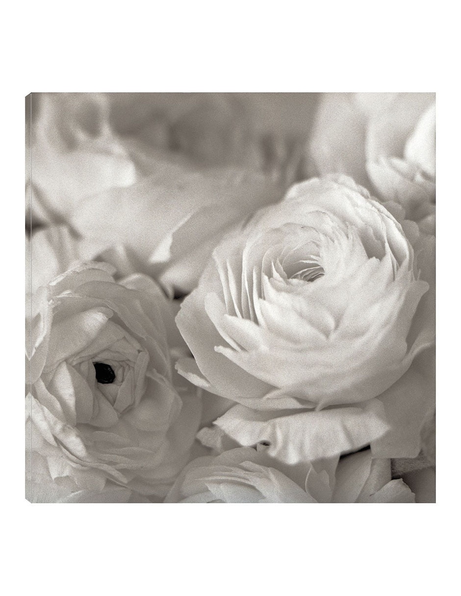 Cuadro decorativo Florison #47 técnica mixta Floración 1