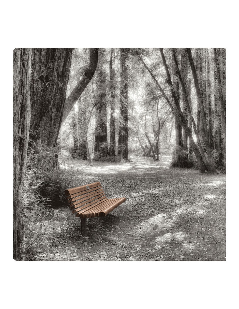 Cuadro decorativo Old Mill Park técnica mixta Bosques Cuadro decorativo Old Mill Park técnica mixta Bosques