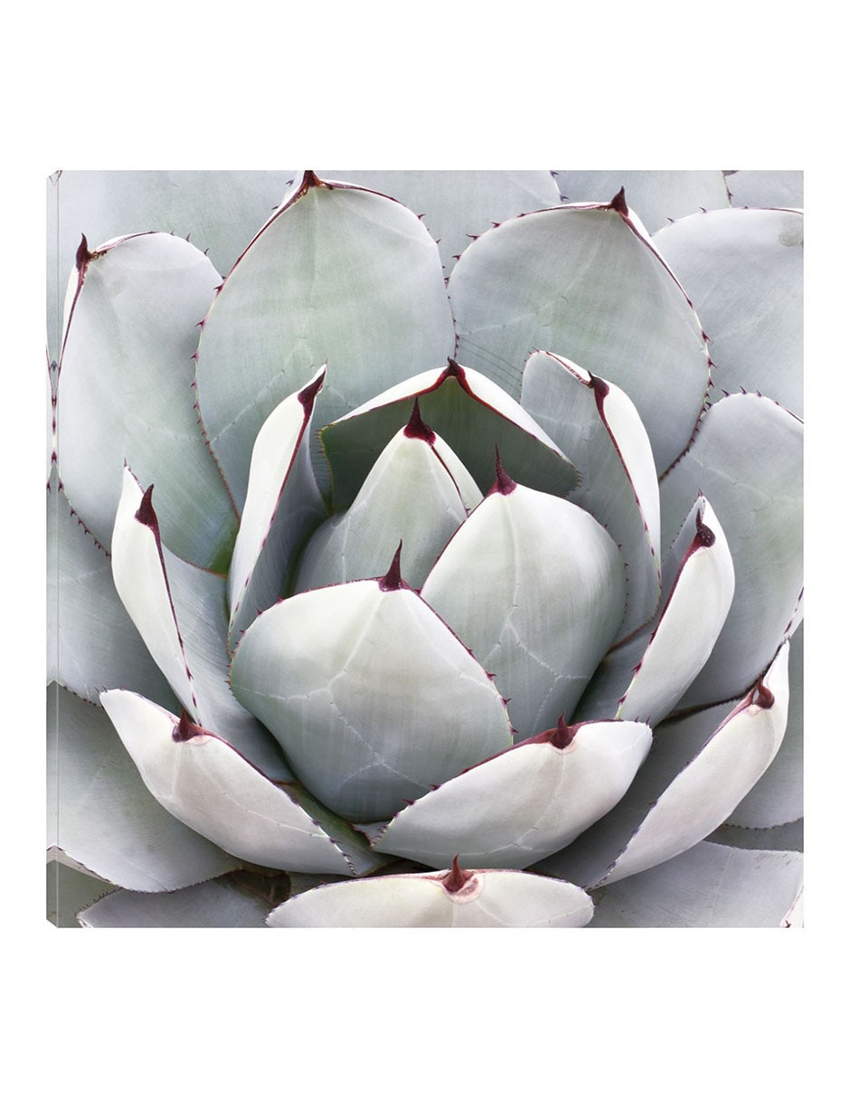 Cuadro decorativo Gris Desértico técnica mixta Floración Cuadro decorativo Gris Desértico técnica mixta Floración