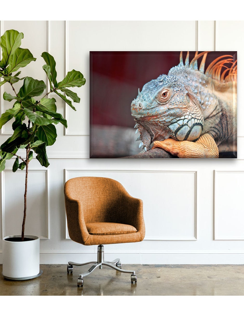 Cuadro decorativo Iguana de perfil 5