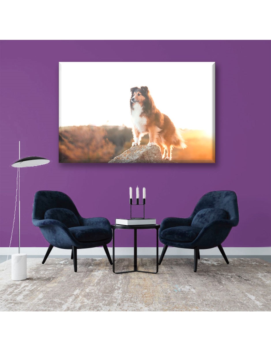 Cuadro decorativo Perro en acantilado 5