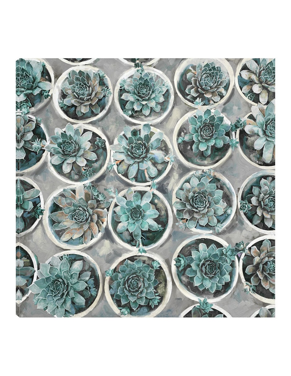 Cuadro decorativo Selecciones De Suculentas técnica mixta Floración