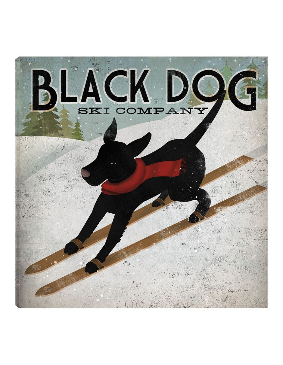 Cuadro decorativo Perro Negro Esquiando técnica mixta Animales Domésticos