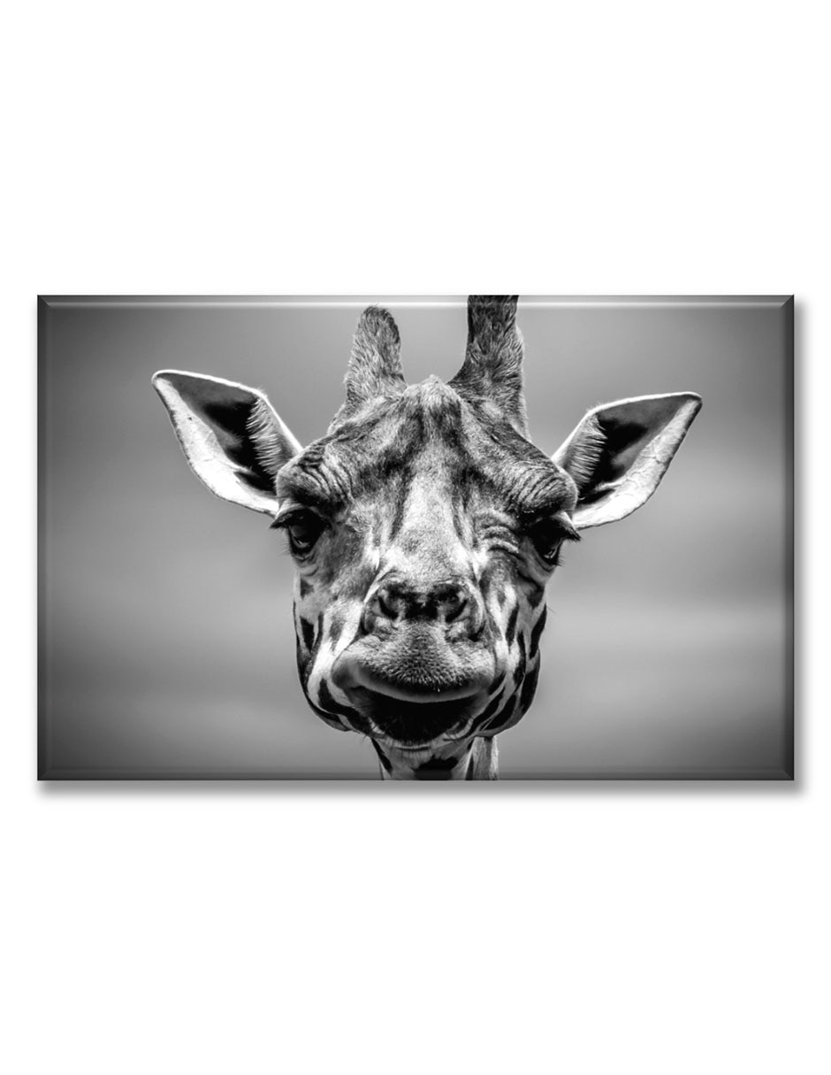 Cuadro decorativo Jirafa 1