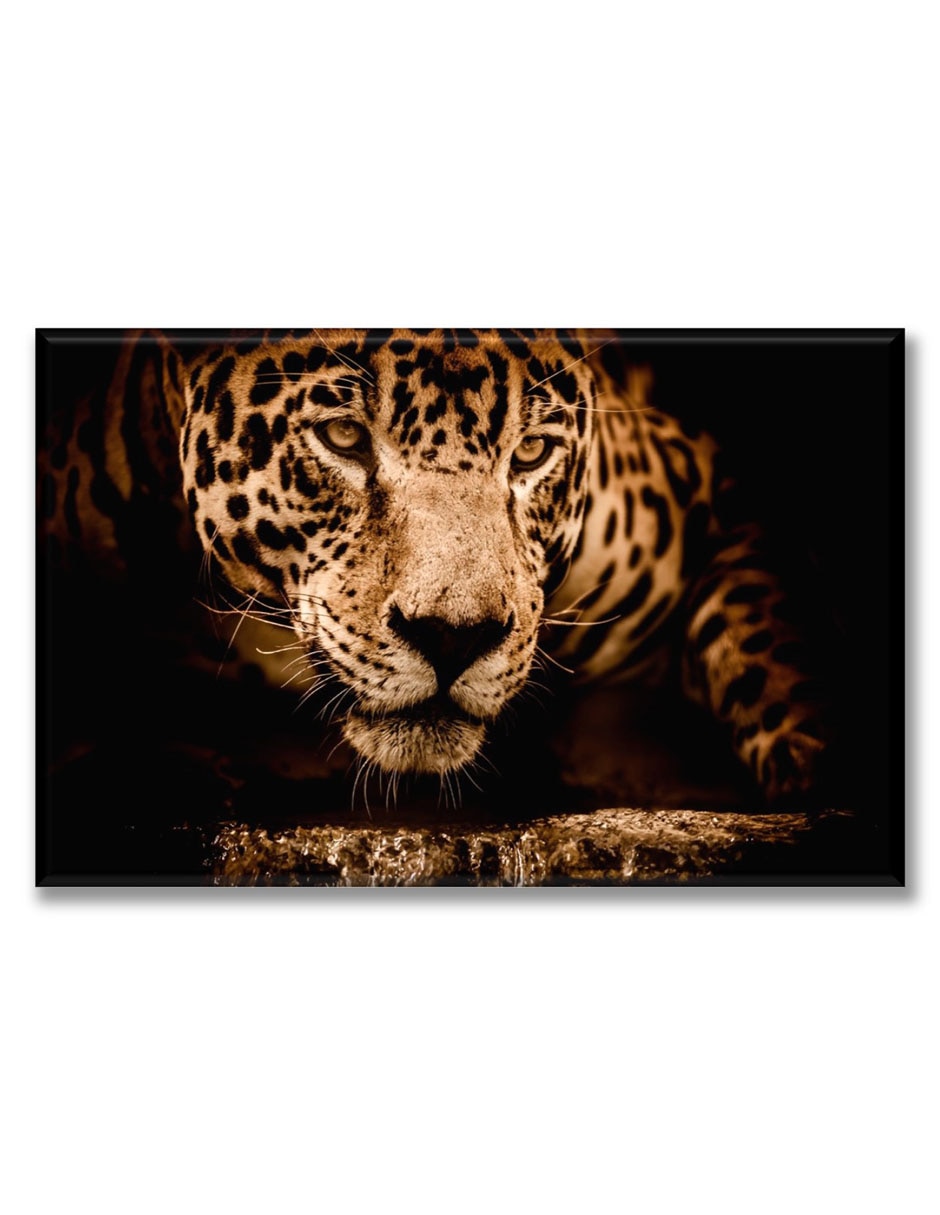 Cuadro decorativo Industria Grafica Ciento 23 Reflejo de jaguar