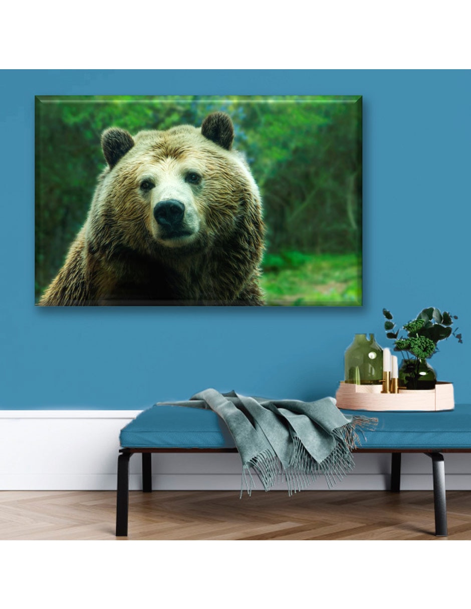 Cuadro decorativo Oso grizzly 5