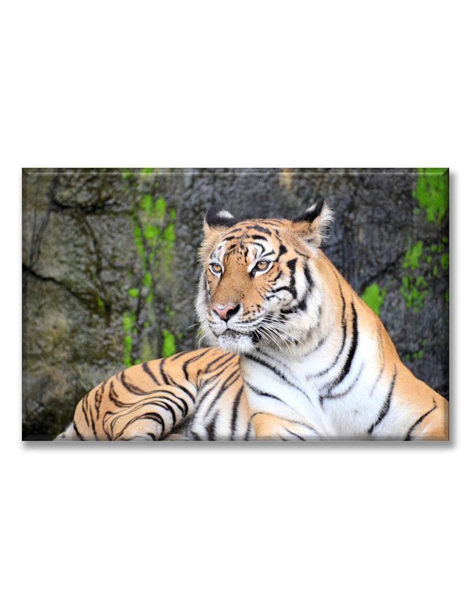 Cuadro decorativo Tigre 1