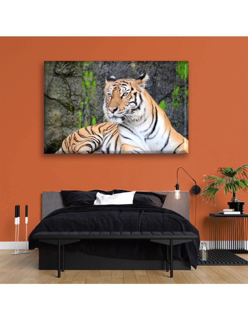 Cuadro decorativo Tigre 6