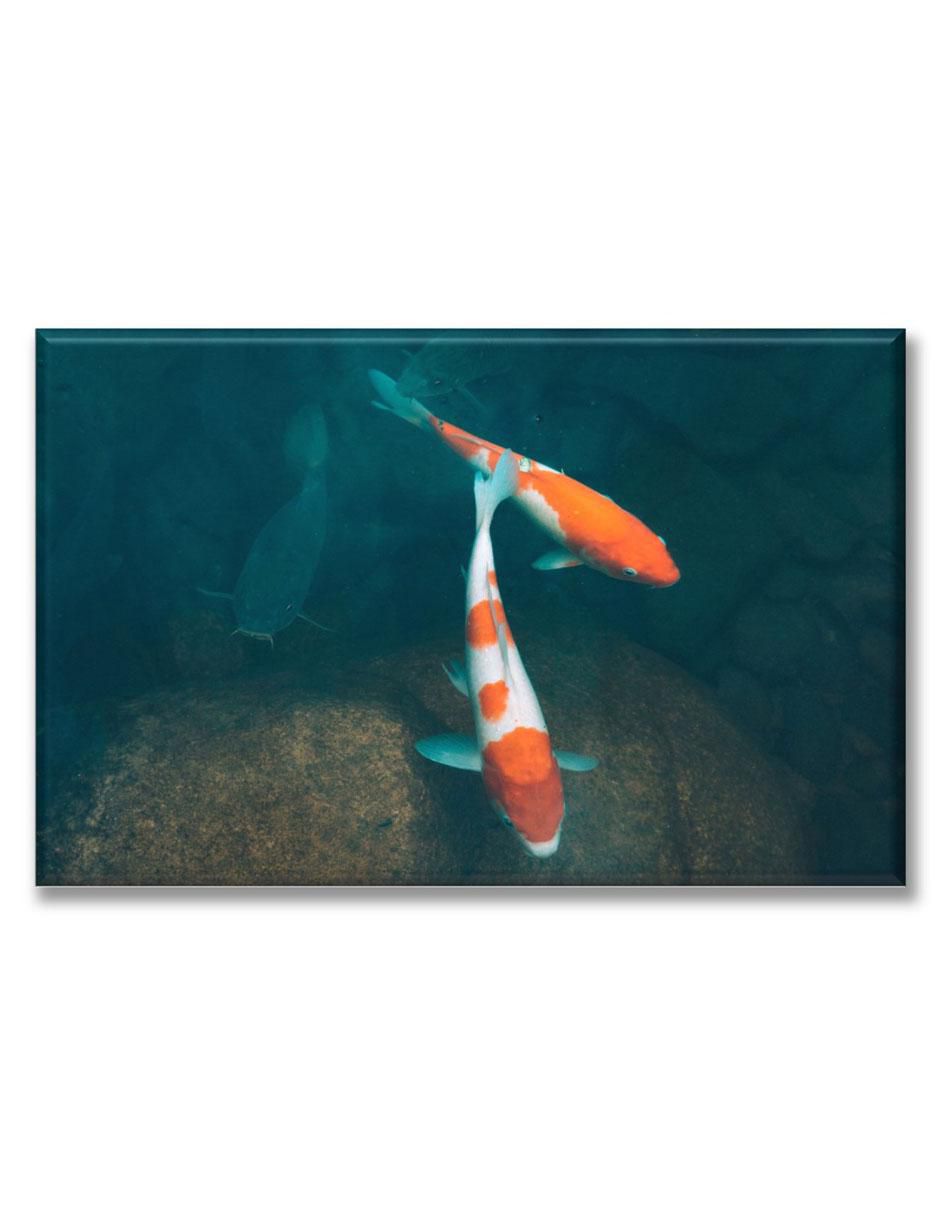 Cuadro decorativo Industria Grafica Ciento 23 Pareja de peces koi