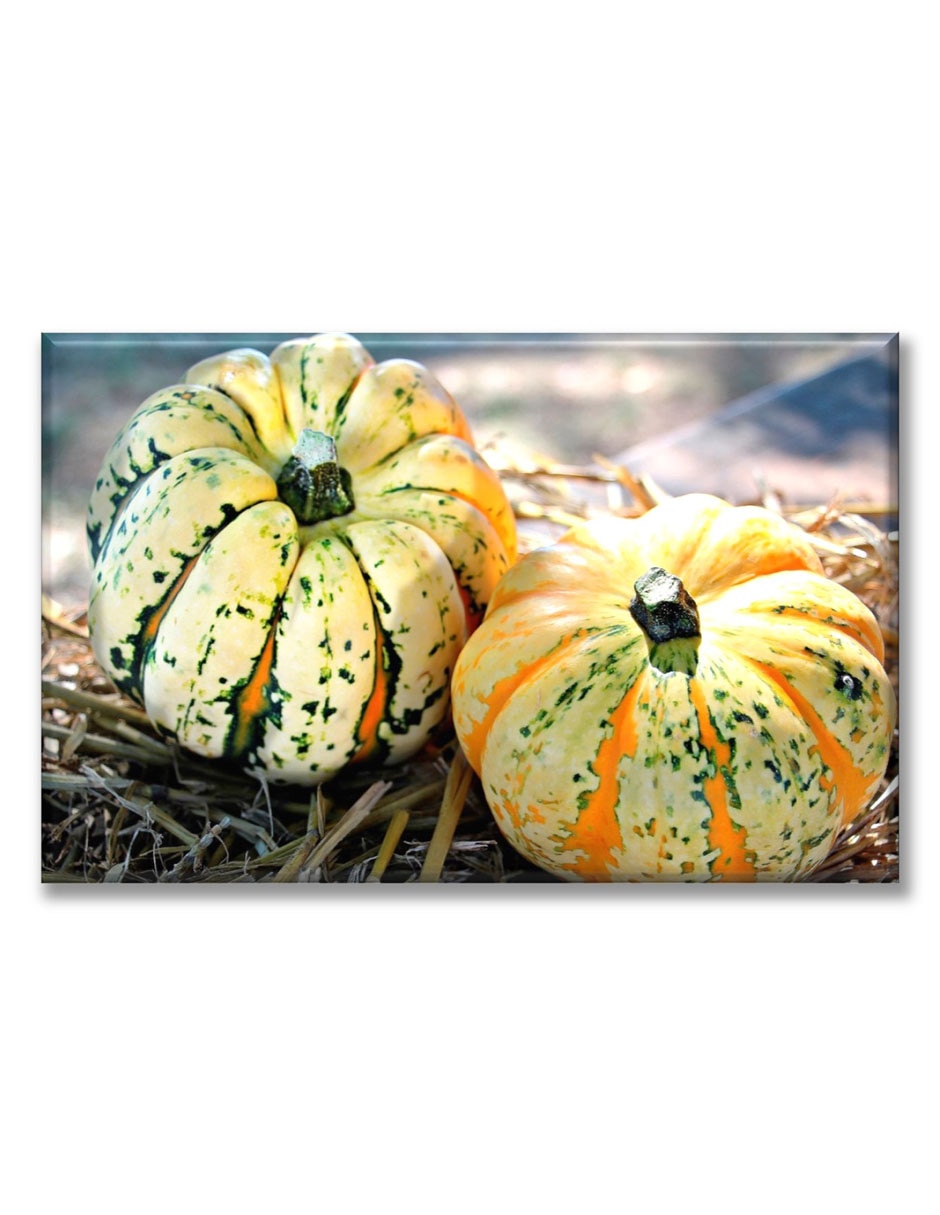 Cuadro decorativo Calabazas