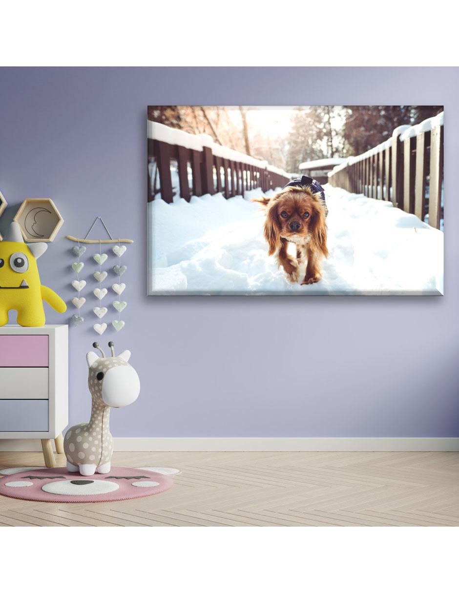 Cuadro decorativo Industria Grafica Ciento 23 Cachorro en la nieve