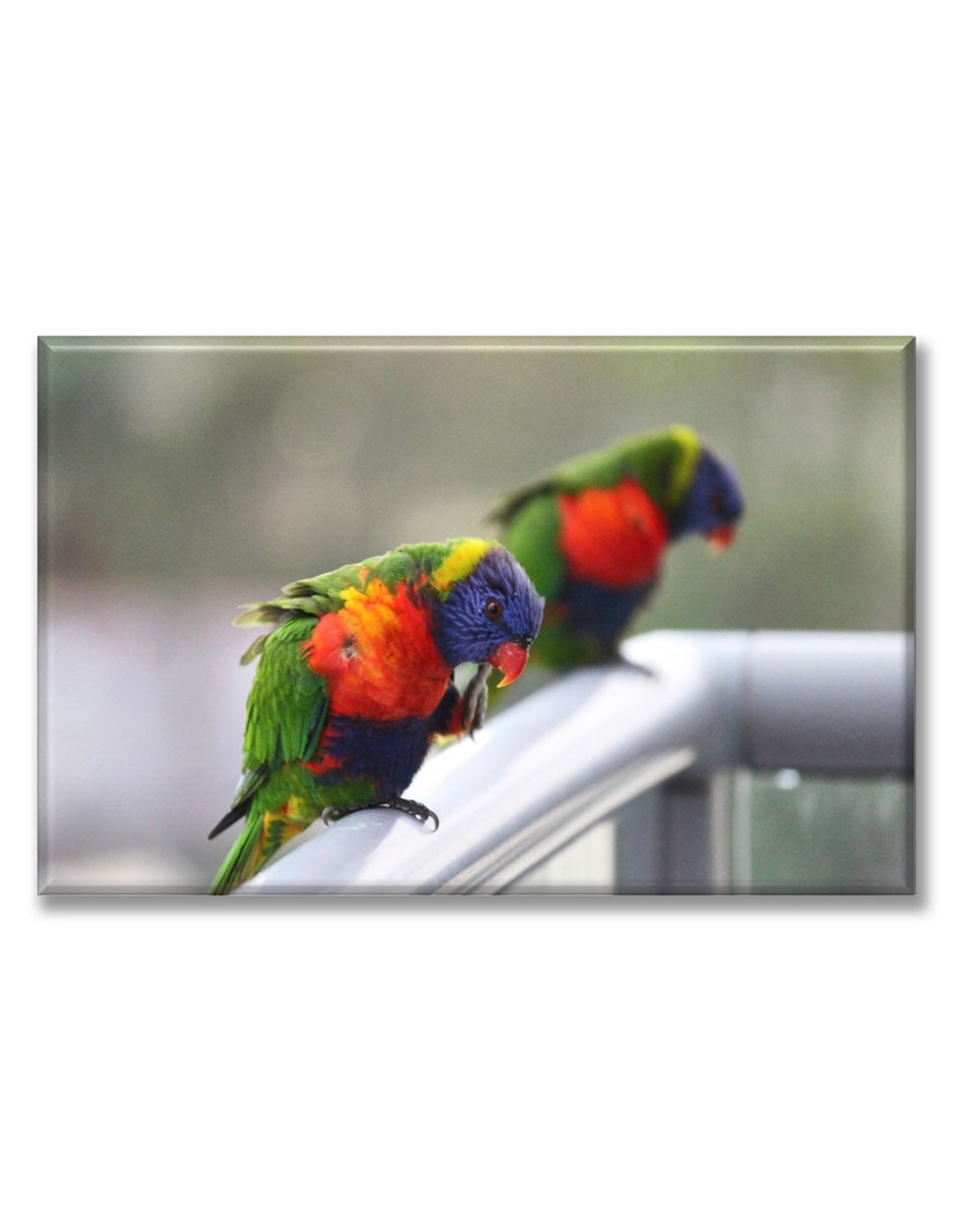 Cuadro decorativo Industria Grafica Ciento 23 Loros cuellirojo
