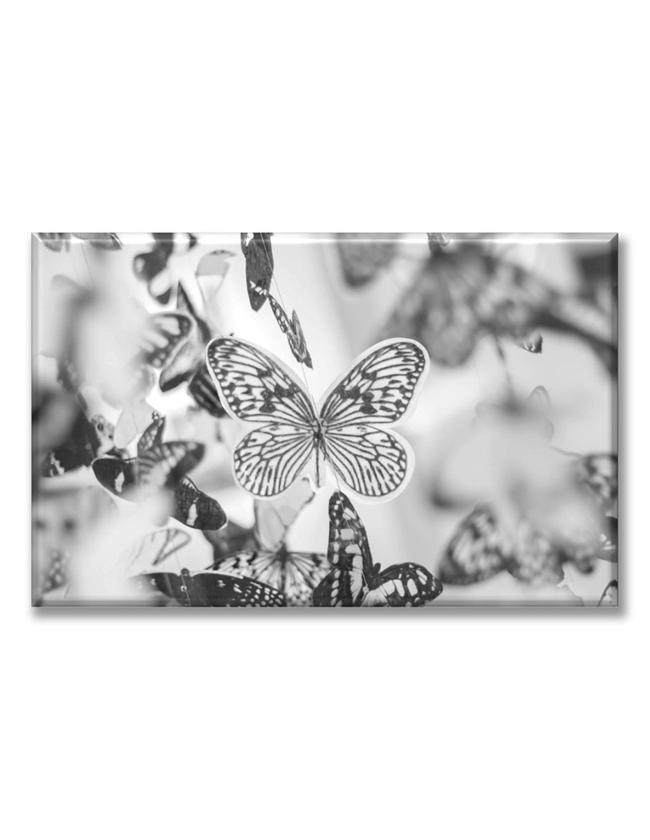 Cuadro decorativo Industria Grafica Ciento 23 Mariposas blanco y negro