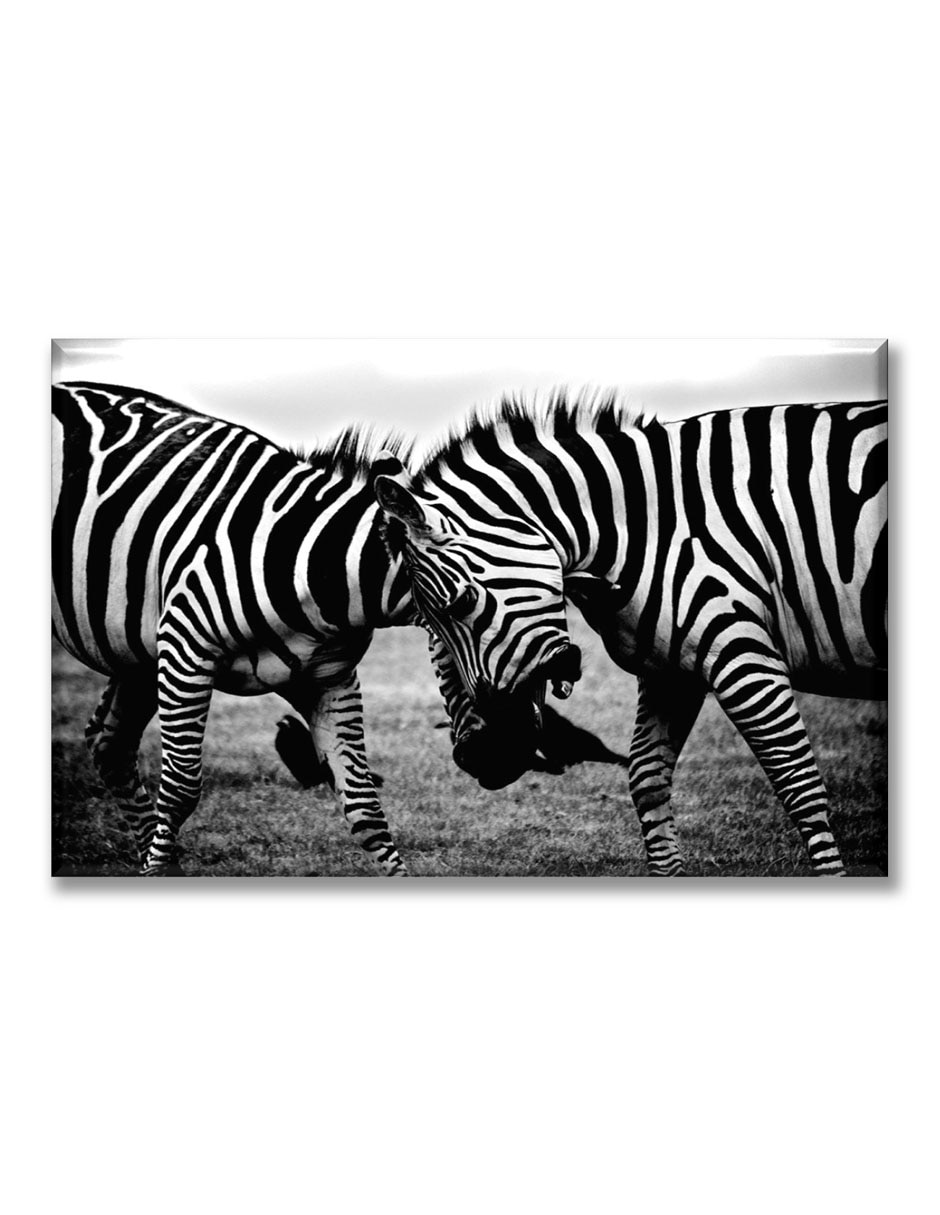 Cuadro decorativo Industria Grafica Ciento 23 Zebras