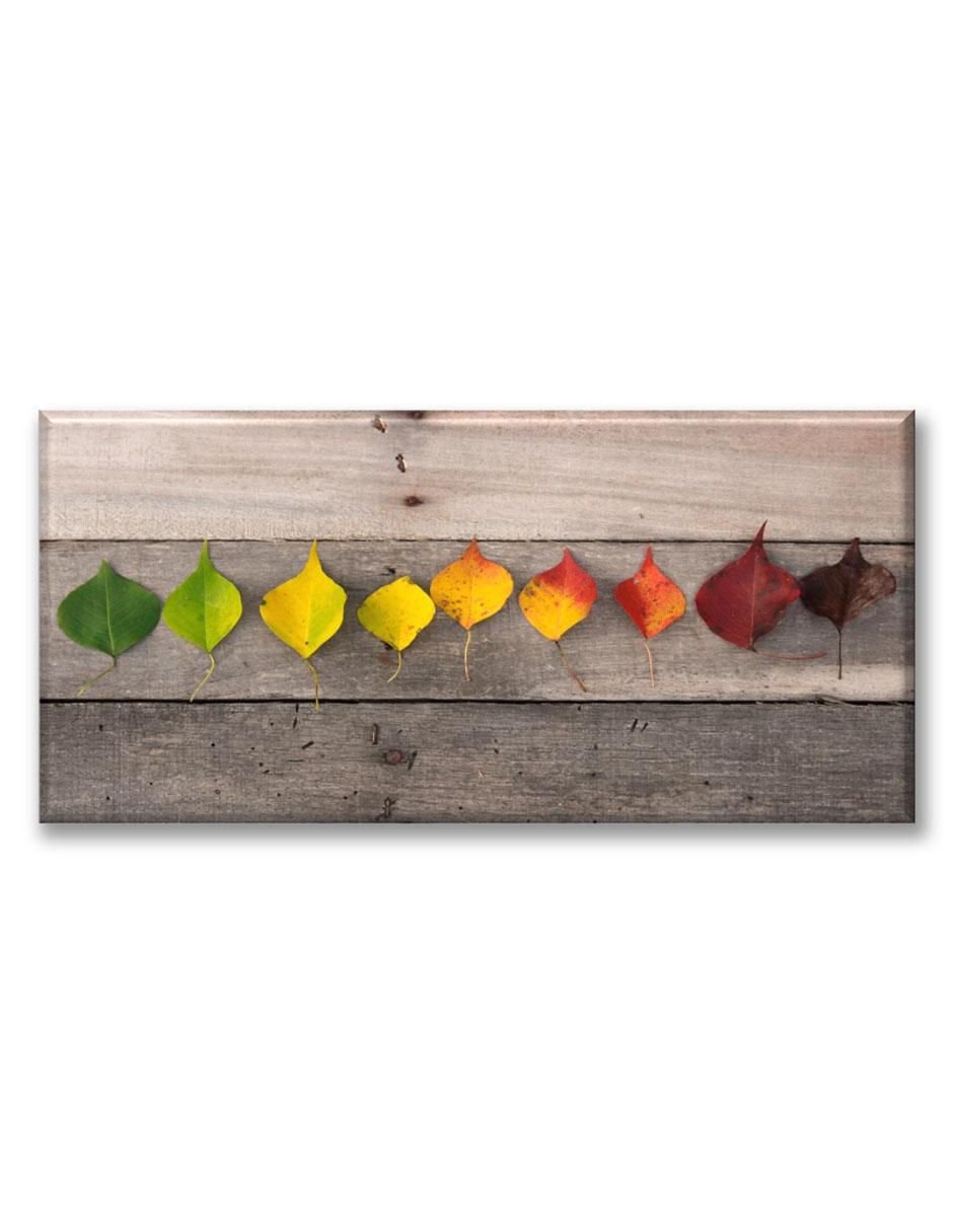Cuadro decorativo Hojas de árboles 1