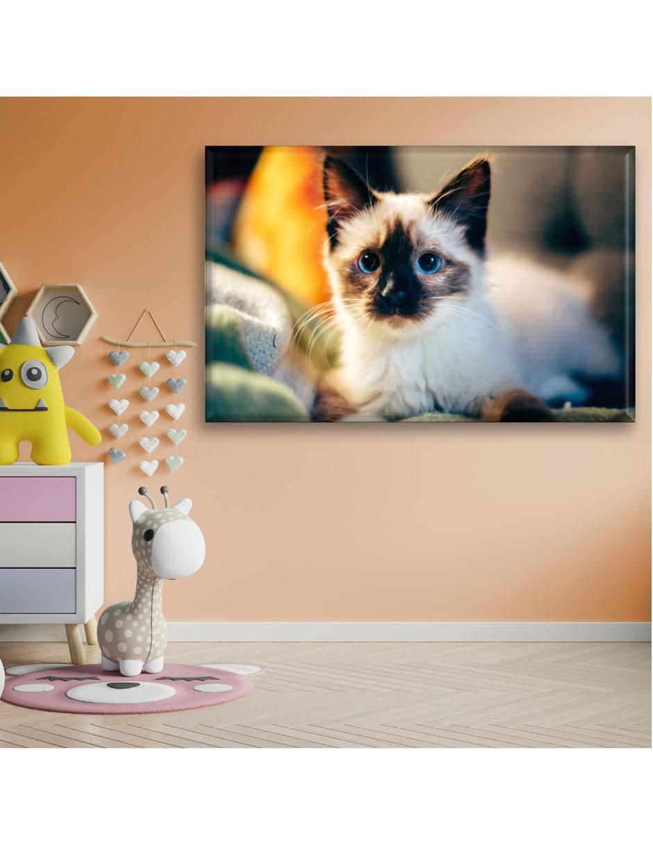 Cuadro decorativo Gatito siamés 6