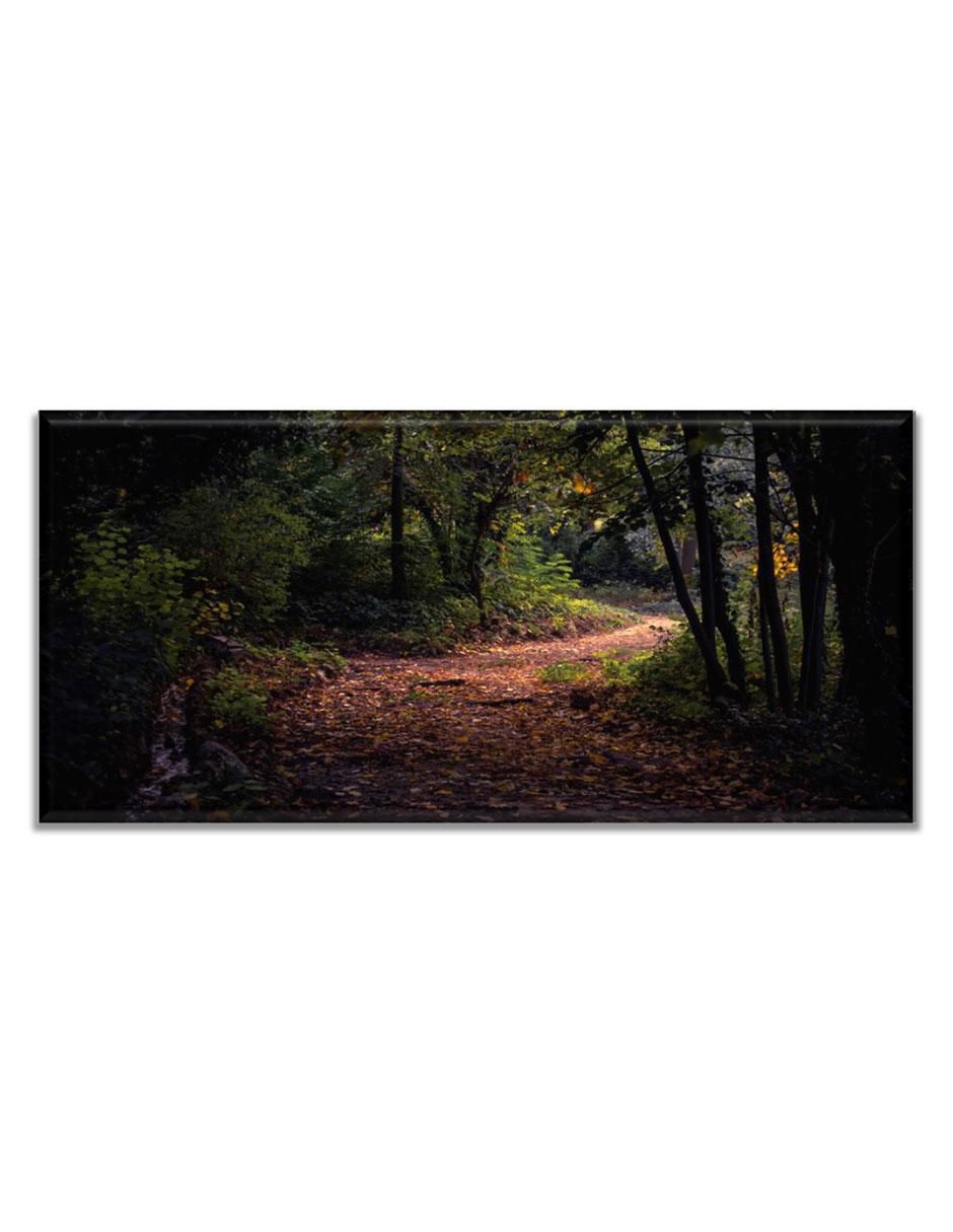 Cuadro decorativo Industria Grafica Ciento 23 Camino en el bosque