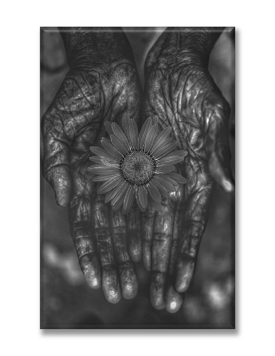 Cuadro decorativo Manos con flor 1