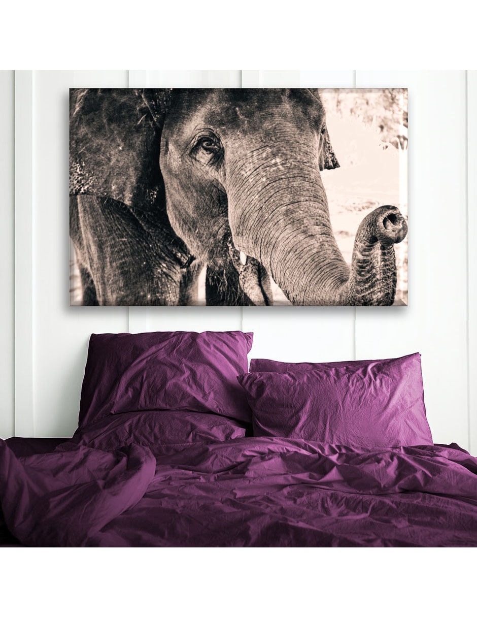 Cuadro decorativo Elefante 5