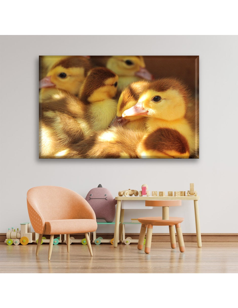 Cuadro decorativo Patitos 5