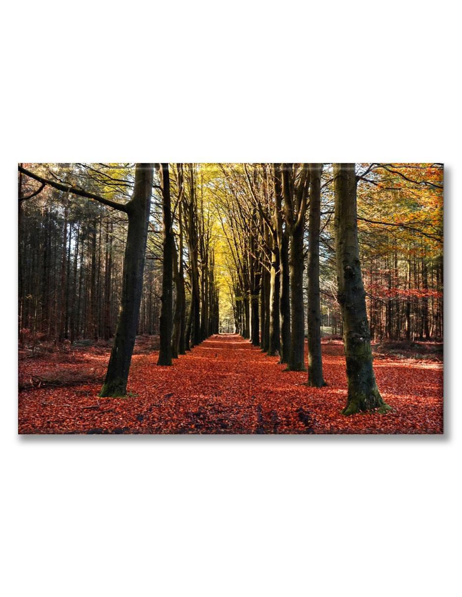 Cuadro decorativo Industria Grafica Ciento 23 Camino otoñal