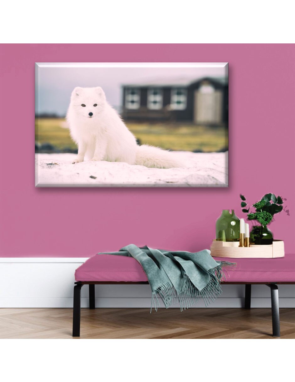 Cuadro decorativo Zorro ártico 5