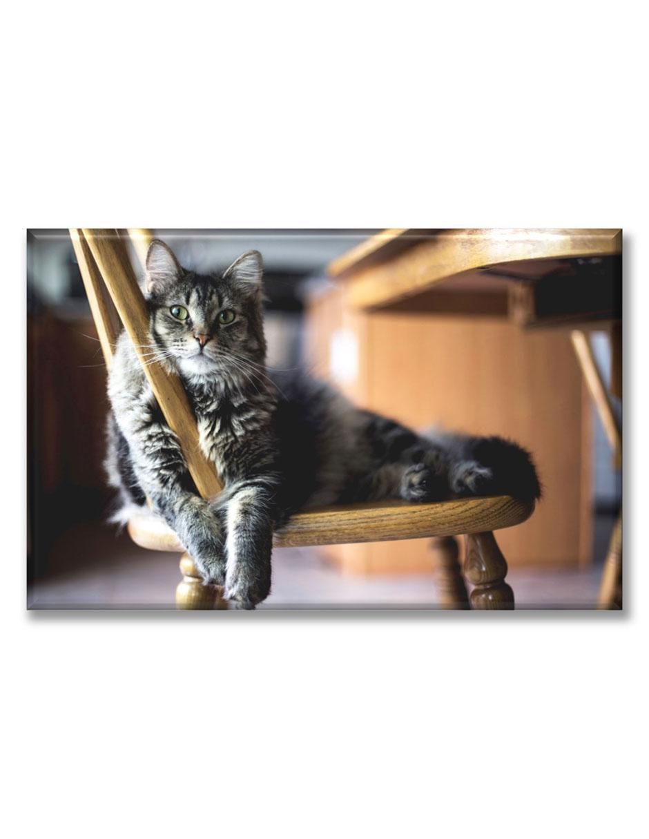 Cuadro decorativo Gato descansando 1