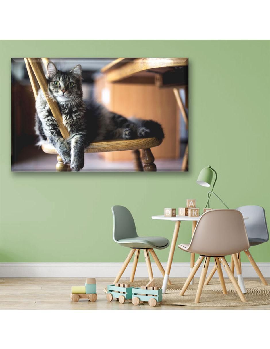 Cuadro decorativo Gato descansando 6