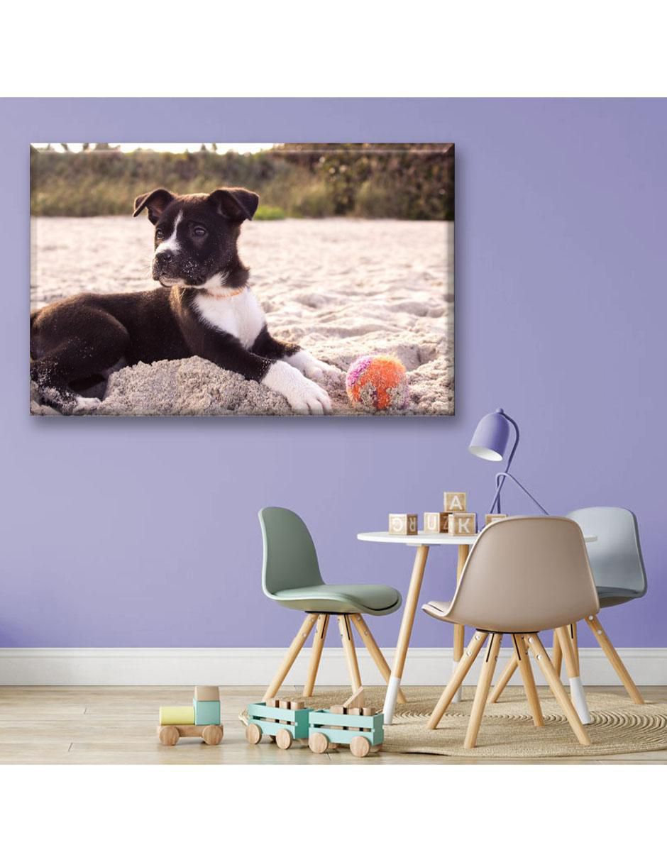 Cuadro decorativo Cachorro en la playa 6