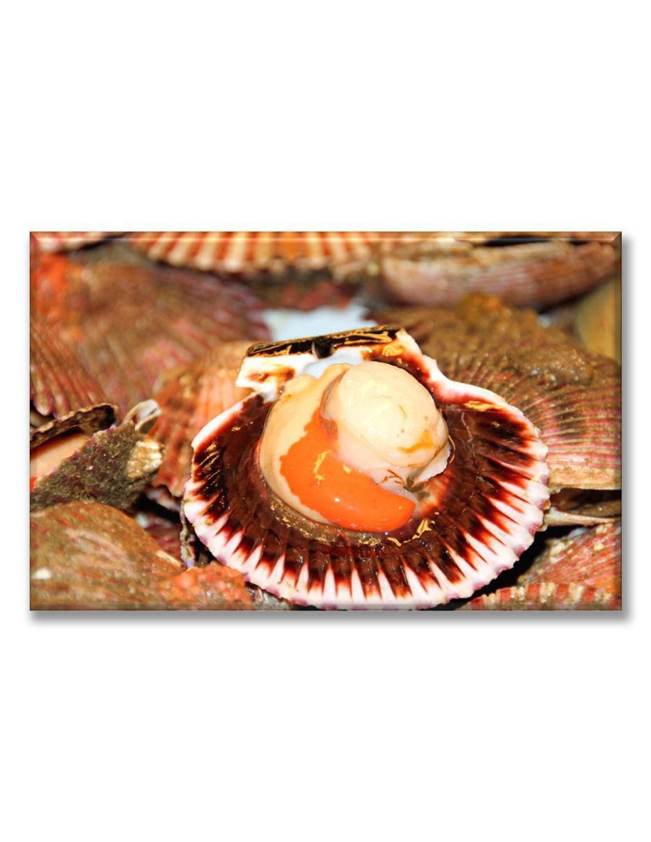 Cuadro decorativo Mariscos 1