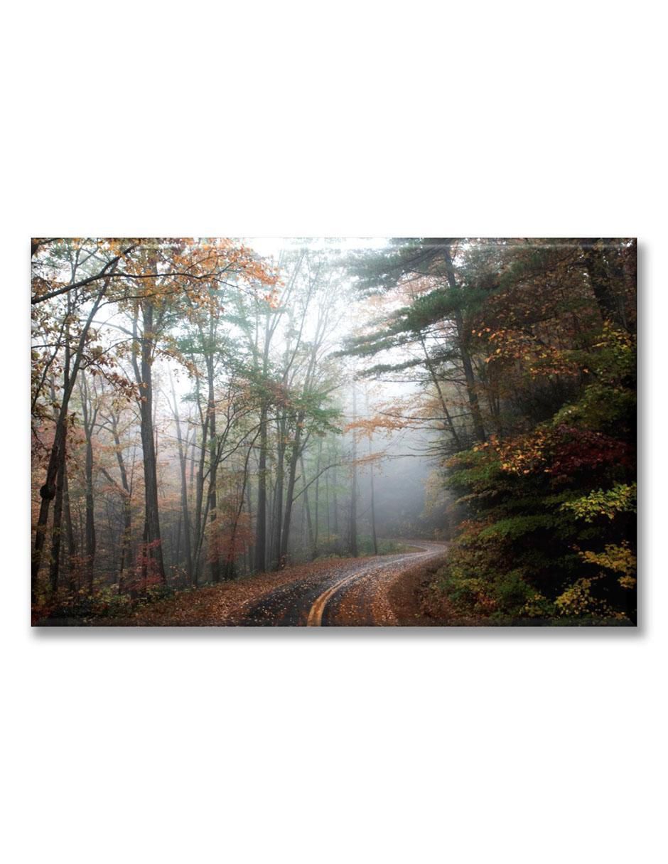 Cuadro decorativo Industria Grafica Ciento 23 Camino en la neblina