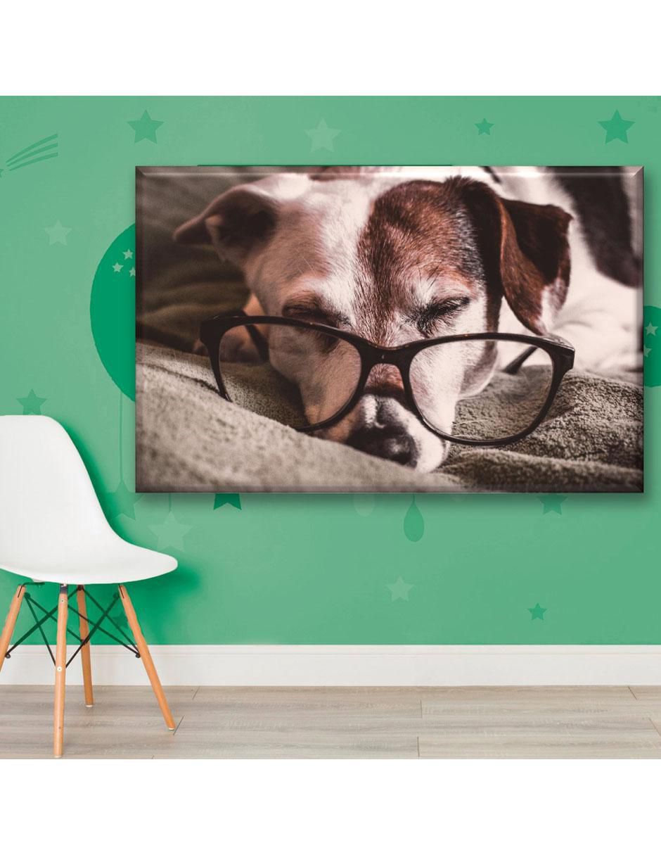 Cuadro decorativo Perrito estudioso 6