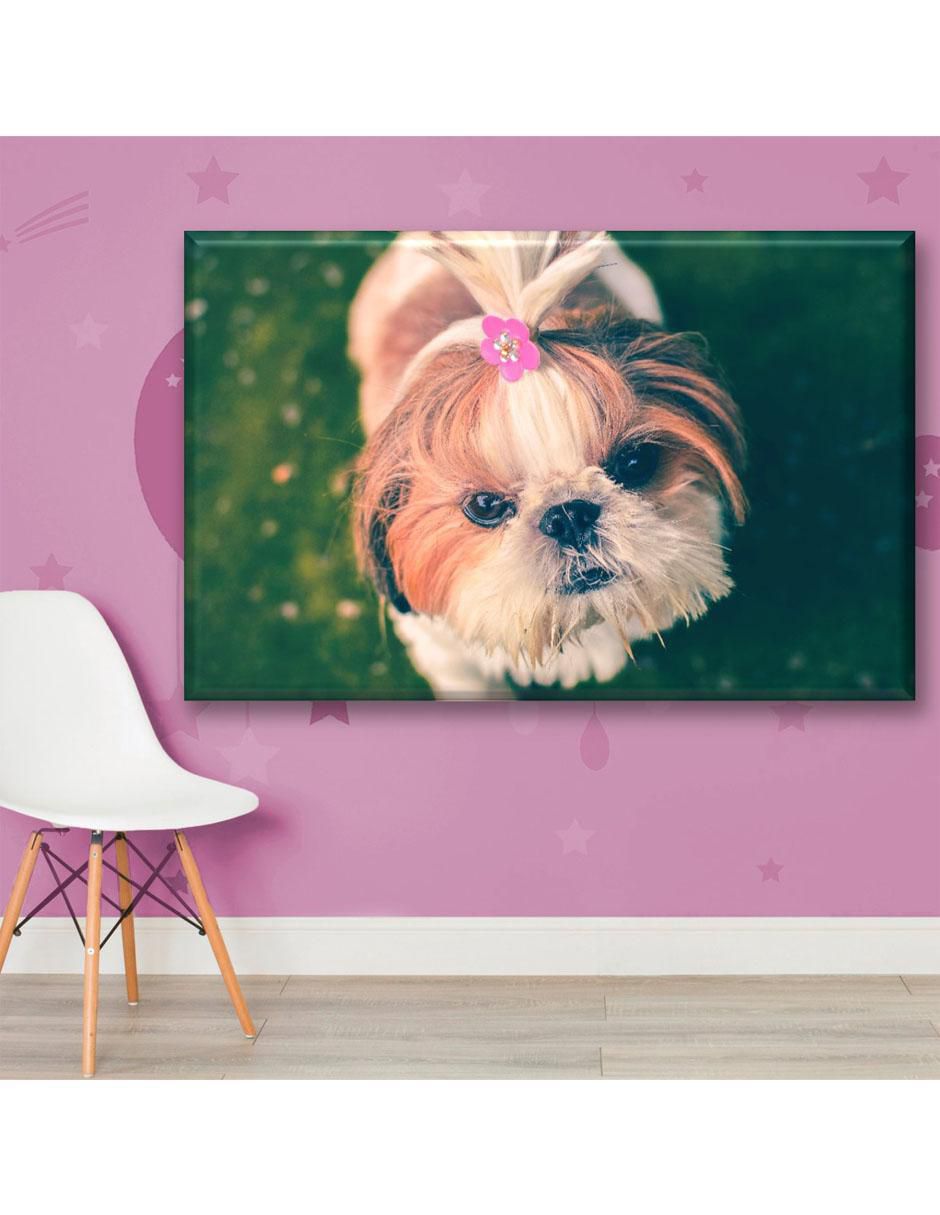 Cuadro decorativo Industria Grafica Ciento 23 Bichón maltés
