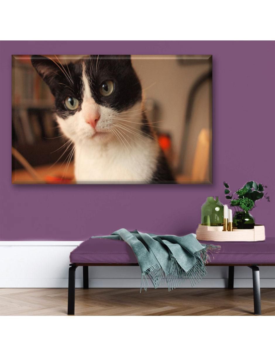 Cuadro decorativo Industria Grafica Ciento 23 Gato manchas de vaca