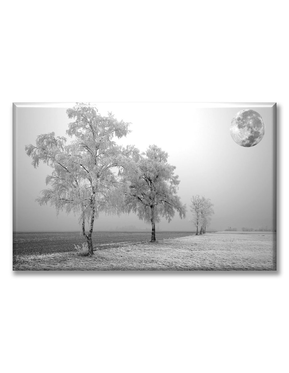 Cuadro decorativo Paisaje nevado 1