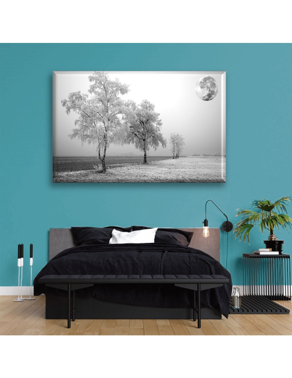 Cuadro decorativo Paisaje nevado 5