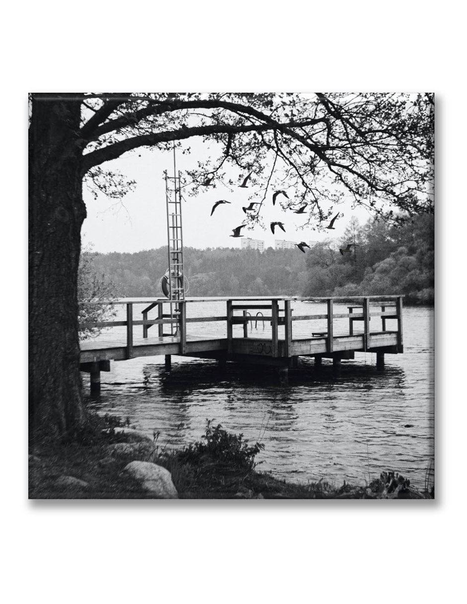Cuadro decorativo Lugar para nadar 1