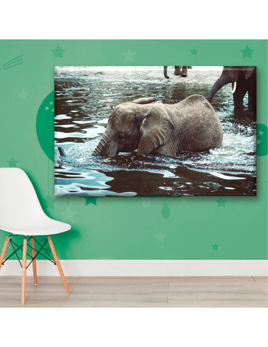Cuadro decorativo Elefante nadando 6