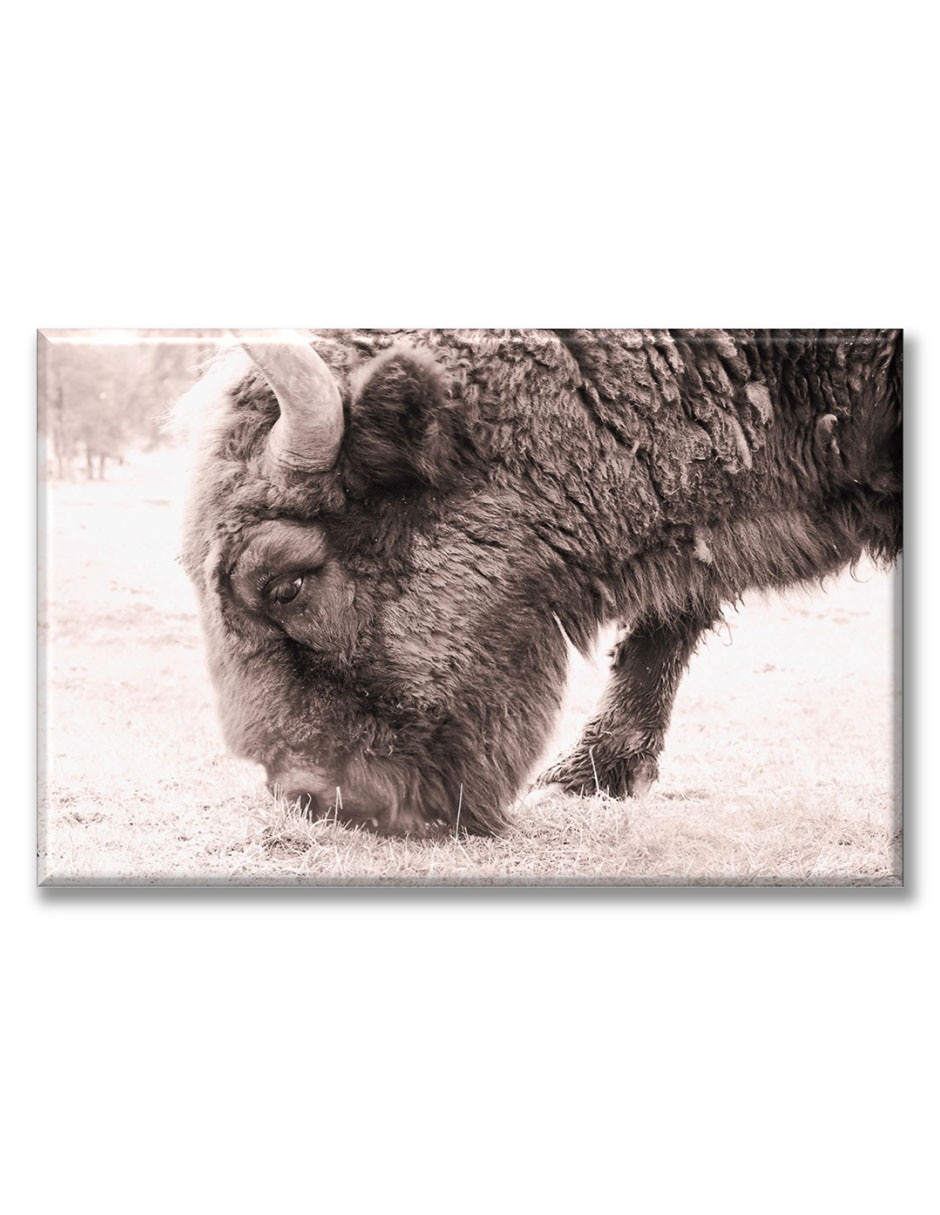 Cuadro decorativo Industria Grafica Ciento 23 Bison en la nieve