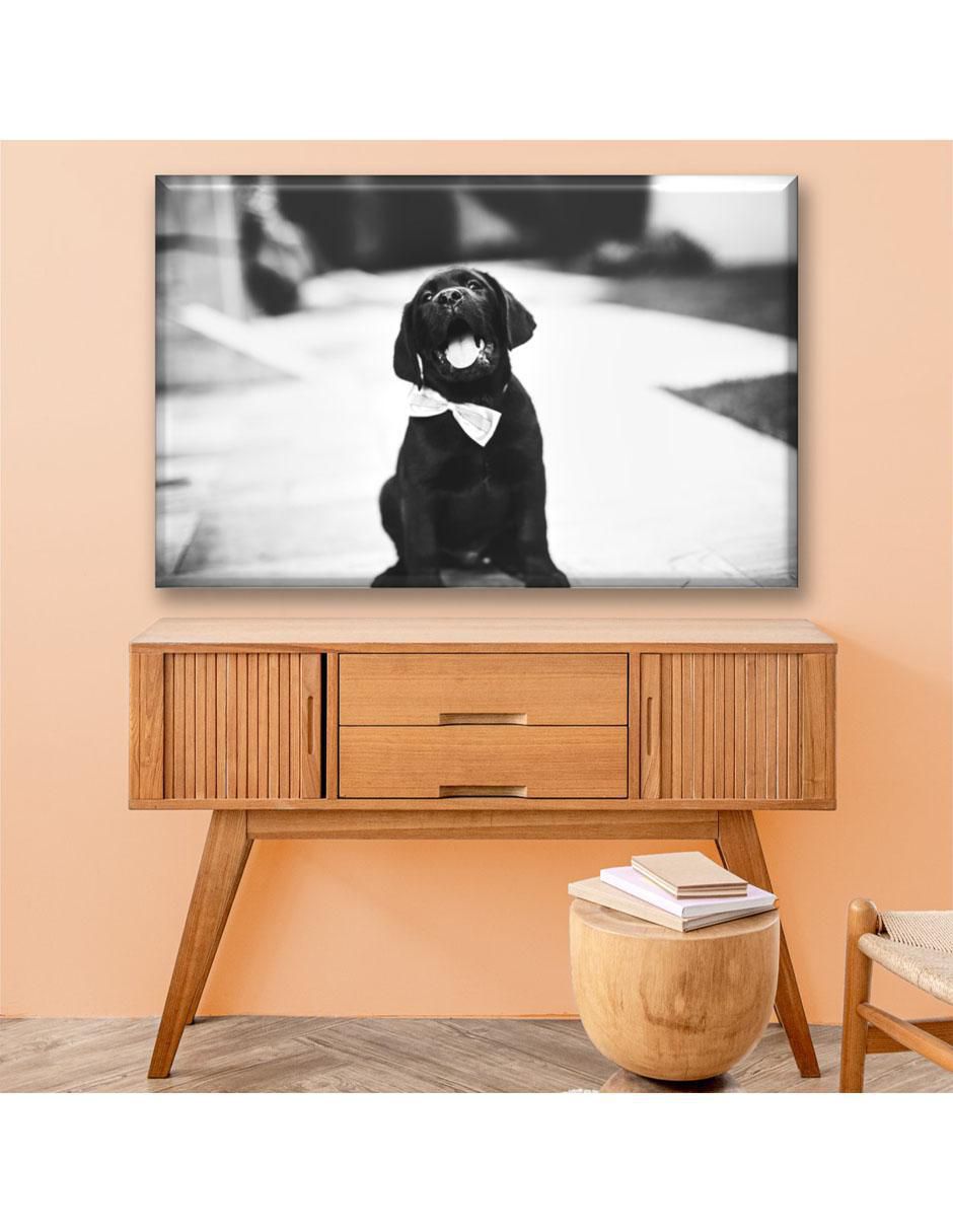Cuadro decorativo Industria Grafica Ciento 23 Cachorro con moño