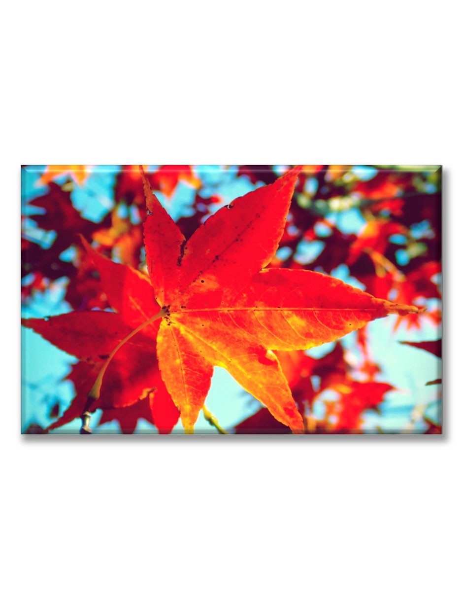 Cuadro decorativo Industria Grafica Ciento 23 Hojas de otoño