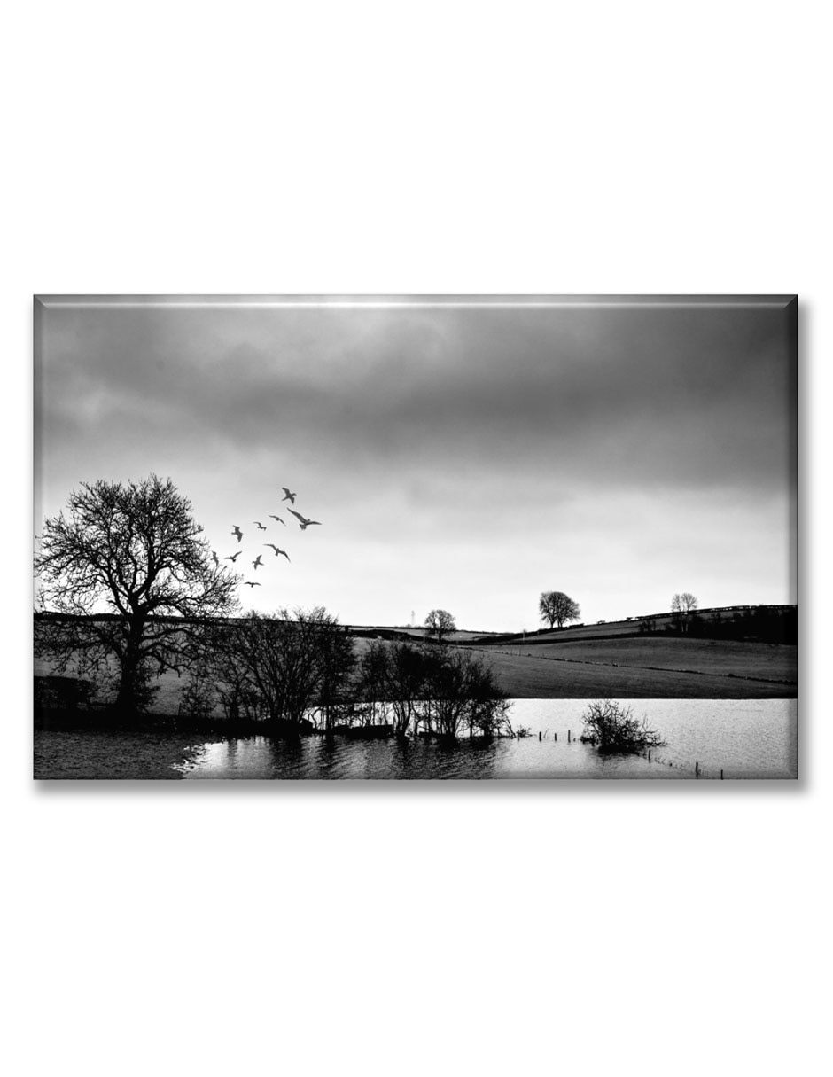 Cuadro decorativo Industria Grafica Ciento 23 Bosque blanco y negro