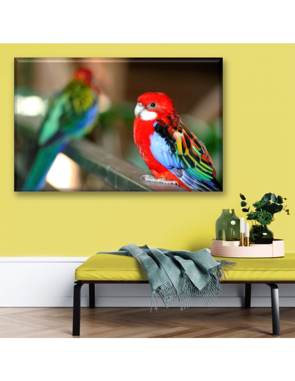 Cuadro decorativo Perico elegante 5